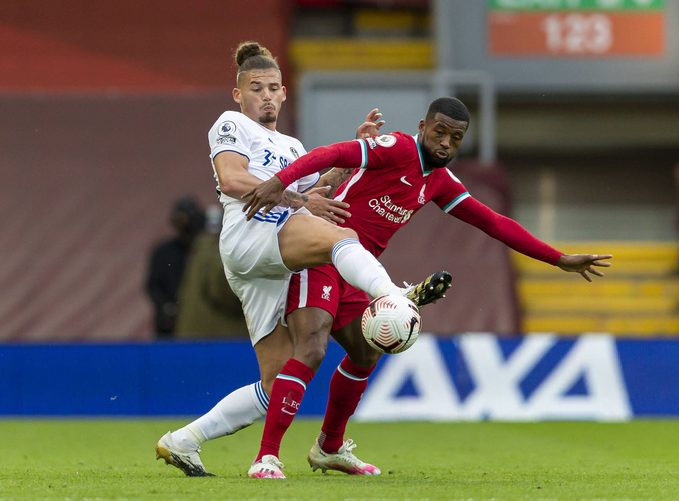 仅展示了球 仅展示了球